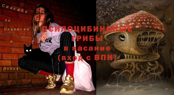 мдпв Баксан