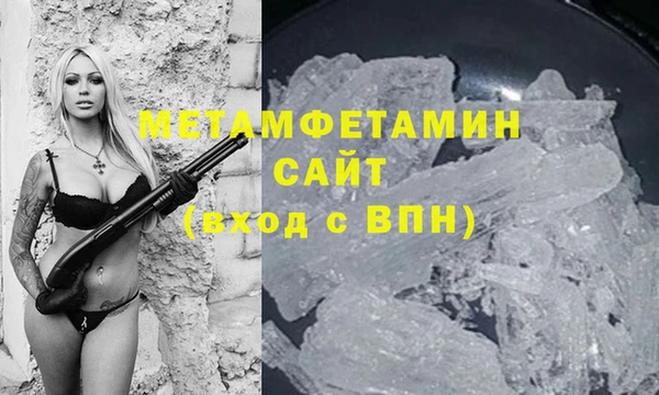 прущие грибы Балабаново