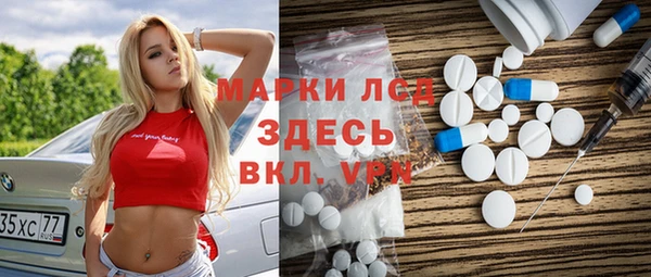 прущие грибы Балабаново