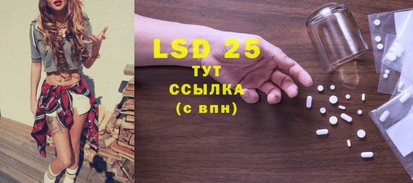 прущие грибы Балабаново