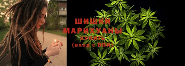 прущая мука Няндома