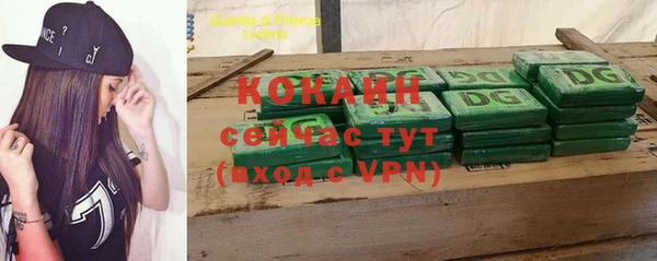 прущие грибы Балабаново