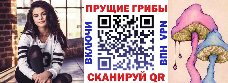 где купить наркоту  Ковдор  mega ссылка  Галлюциногенные грибы Magic Shrooms 